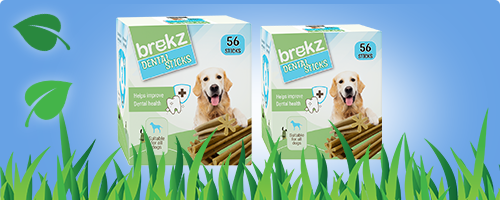 NOUVEAU : Brekz Dental Sticks pour votre chien